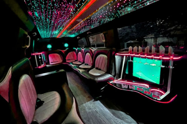 metris limo interior